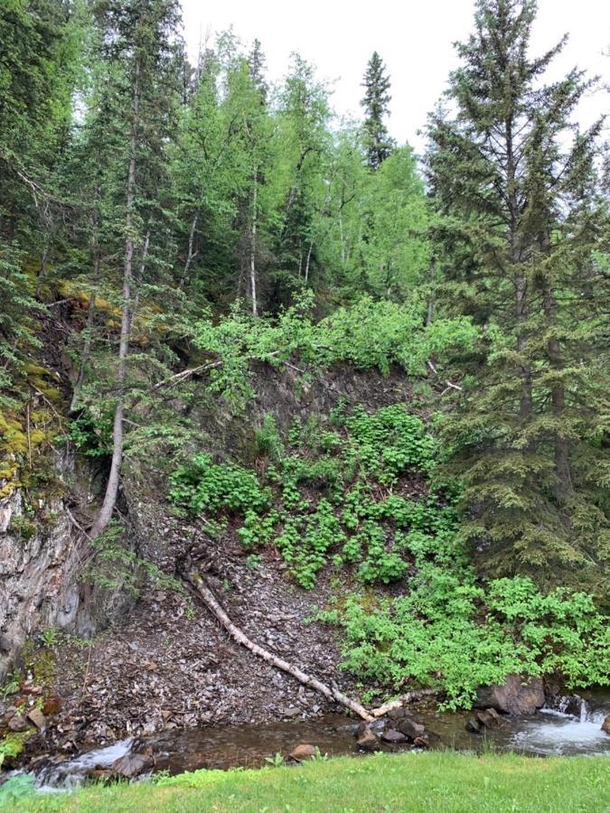Whitetail Creek Camping Resort Lead Exteriér fotografie